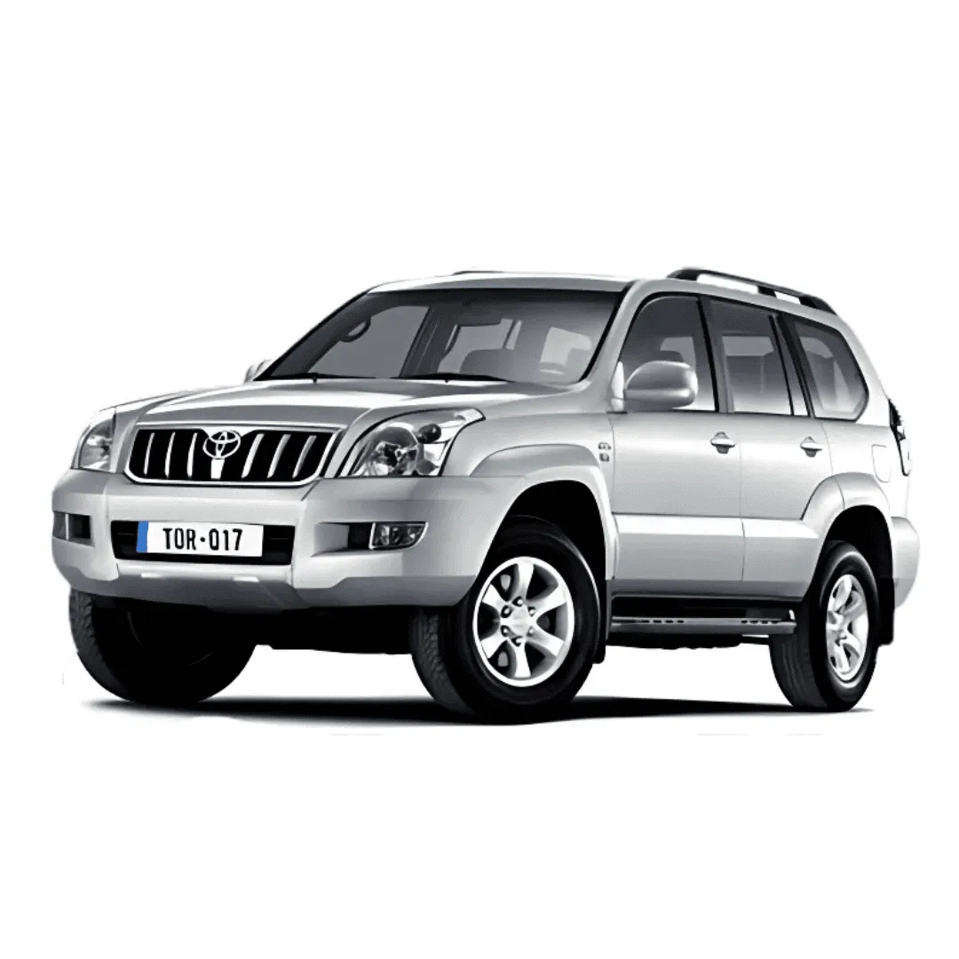 Toyota 95 Series 3.0L Prado