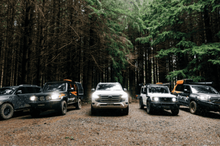 Line-up of 4WD vehicles in forest – Torqit Electronic Exhaust background