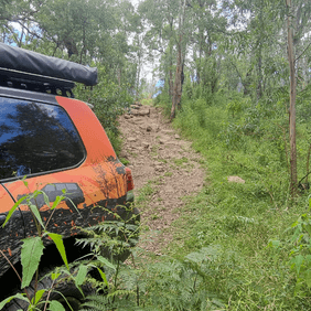 Orange 4WD running Torqit exhaust driving on a forest offroad trail