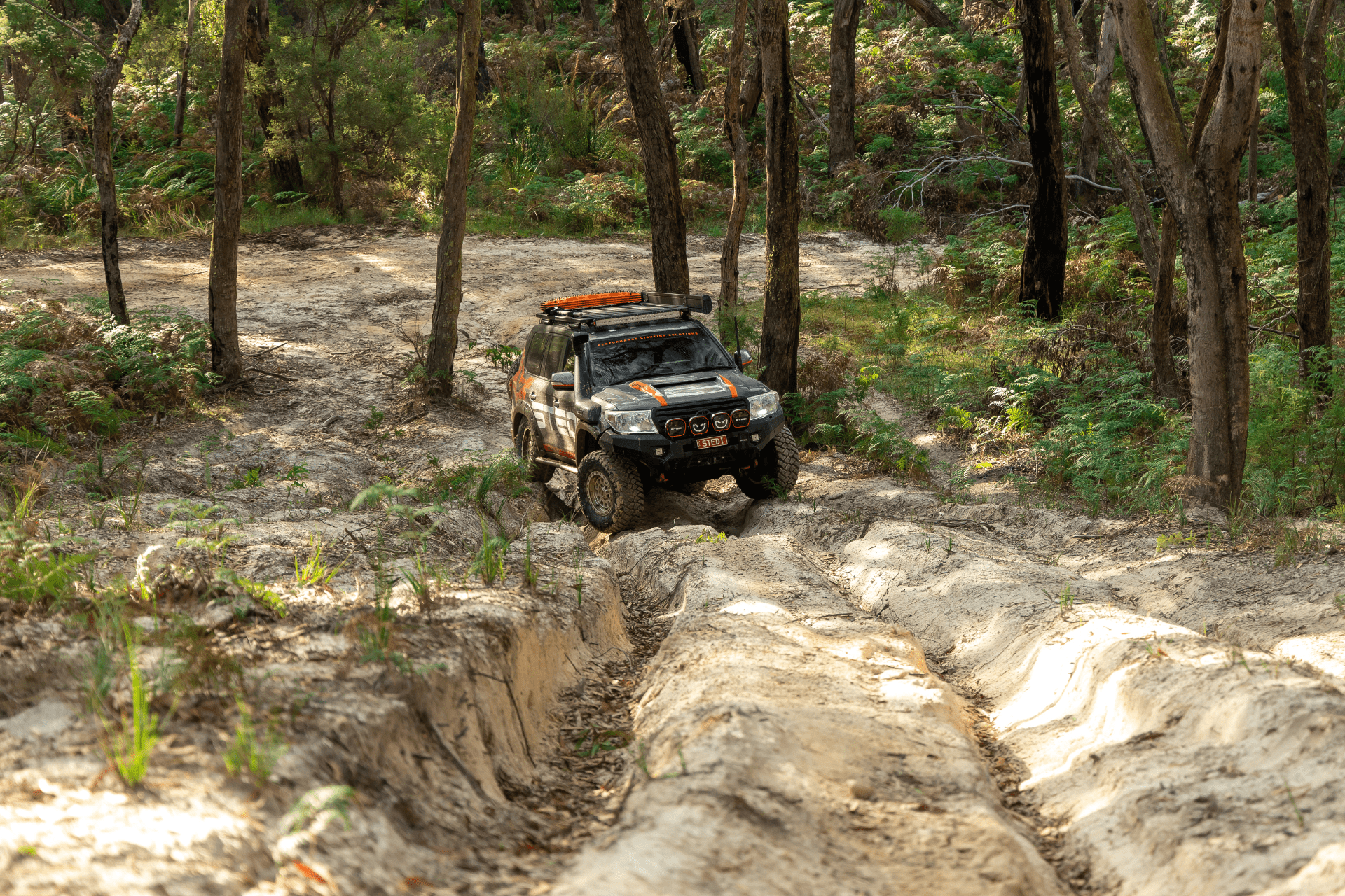 Toyota LandCruiser 200 Series with Torqit upgrades driving on a rugged forest track